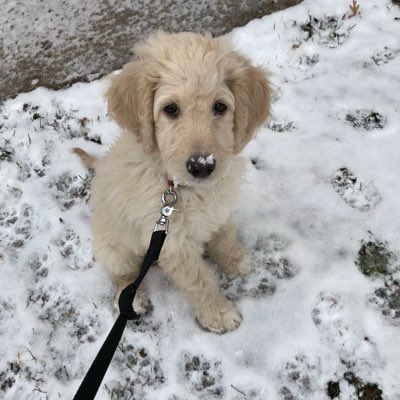 JoeyGDot's tweet photo. #NewProfilePic https://t.co/Z4TB8bmgLp