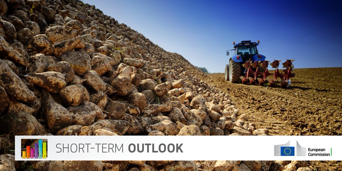 EU sugar production is estimated to grow significantly for 2017/18 📈 Latest #AgriOutlook report is out now: europa.eu/!ff47rK