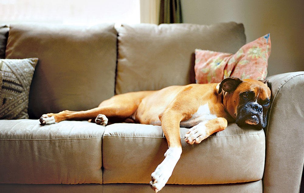 Runner S World On Twitter Can T Get Off The Couch These