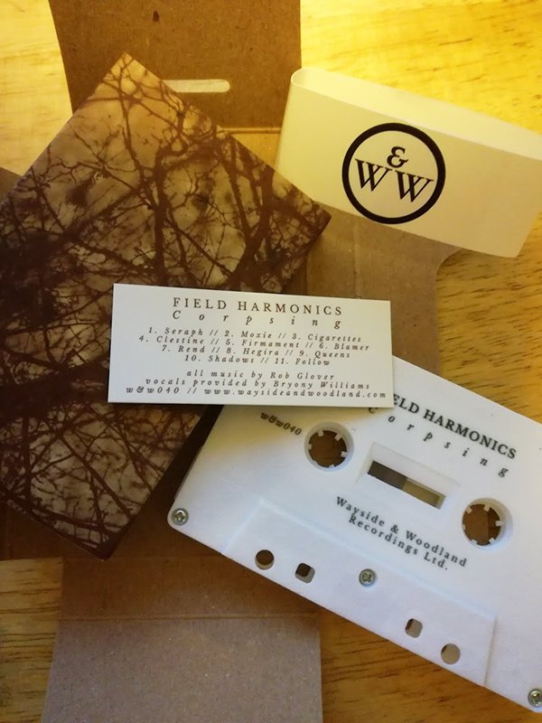 Field Harmonicsの素敵カセット届いた。
エクスペリメンタル系アンビエント・ドローンで好み。凄い路線変更。