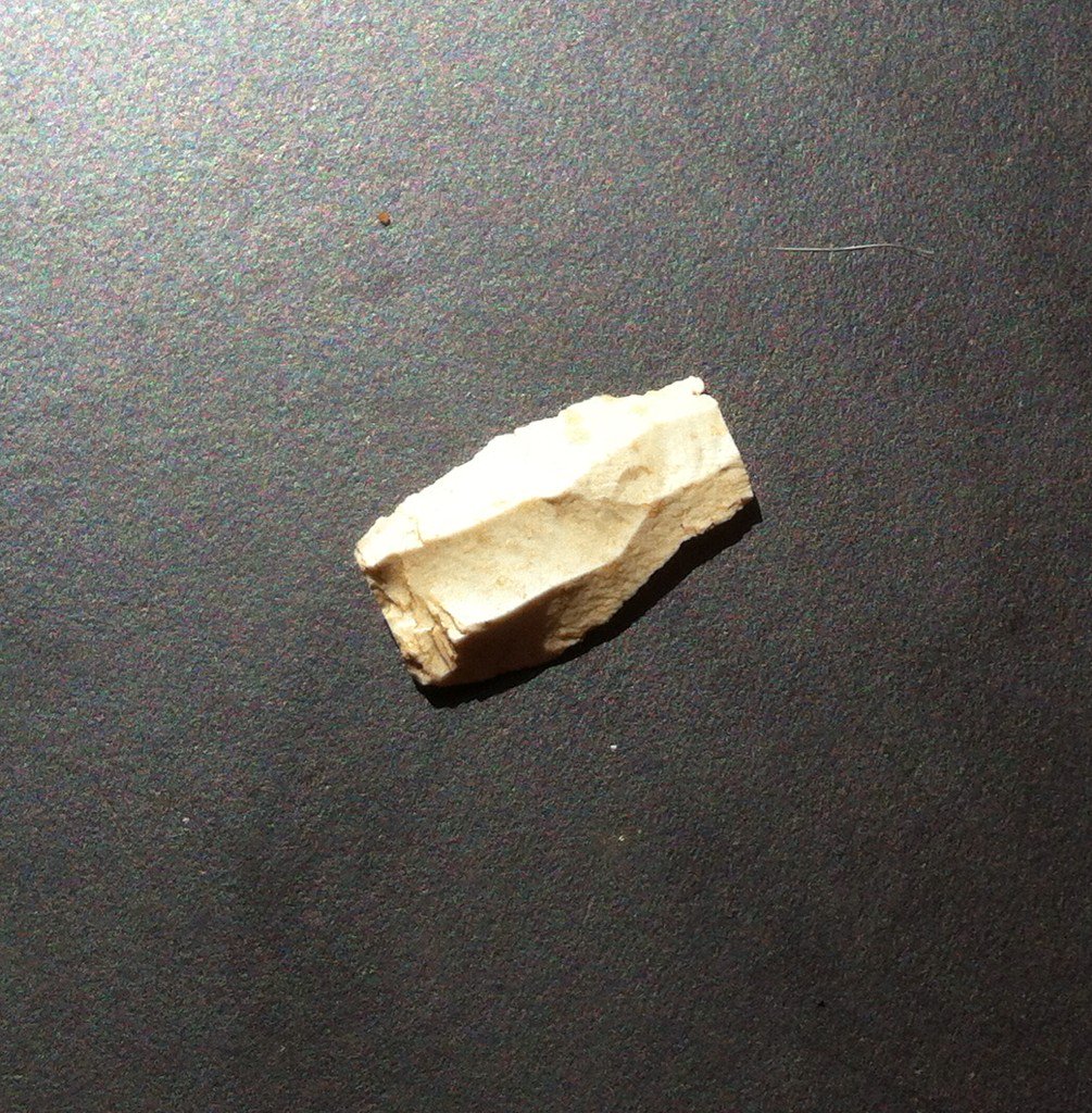 artistjaypee's tweet photo. A lovely 5mm #microlith found on the sand surface at St. Martha's hill in the @SurreyHillsAONB #surreyunearthed https://t.co/QCyaxFfI8g