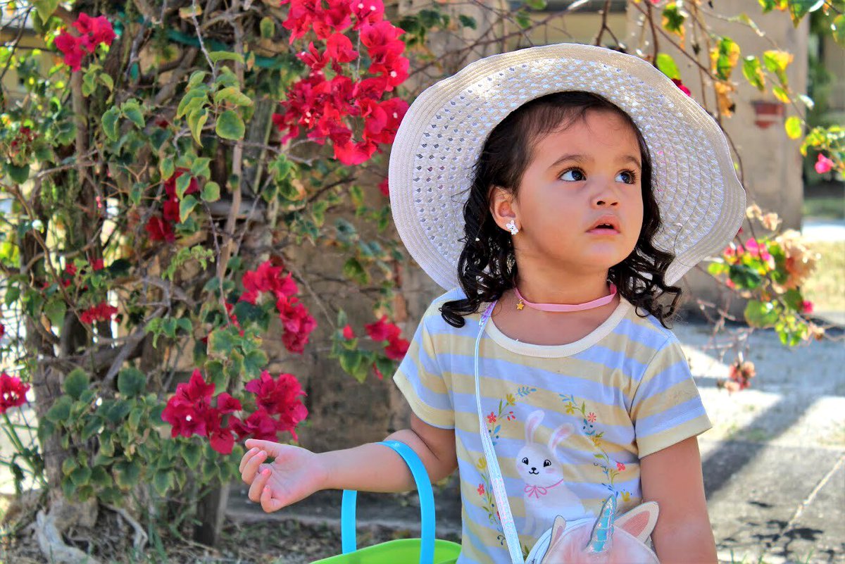 UniqueShotGroup's tweet photo. Spring is finally here! 
.
.
.

#Spring #springtime #springphotography #springphotos #justshoot #photography #fstoppers #justgoshoot #photogram #thelensbible #visualsoflife #agameoftones #photooftheday #miami #miamiphotographer #miamiphotography #miamiphoto #kids #kidsphotography https://t.co/1iRrpYr1sG