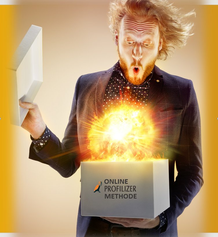 Profilizer Nederland tweet media