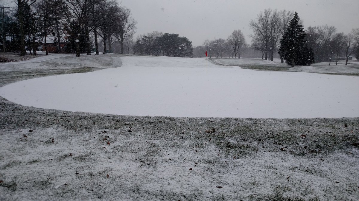 Shaker Turfgrass tweet media