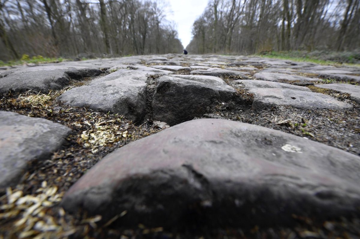 Look Bikes UK tweet media