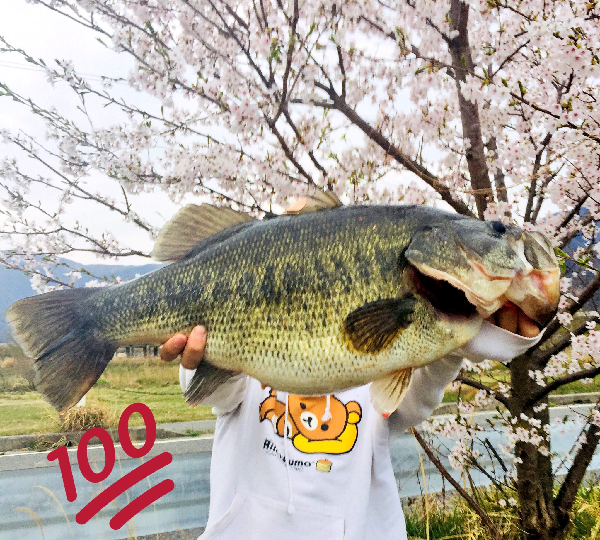 ぎるる 10 18sirワンマン 60up 5kgのブラックバスが釣れたよ 楽しかったなぁ 琵琶湖おかっぱり ロクマル T Co 1ytjdtei0s Twitter ぎるる 10 18sirワンマン 60up 5kgのブラックバスが釣れたよ 楽しかったなぁ 琵琶湖おかっぱり ロクマル T Co 1ytjdtei0s Twitter