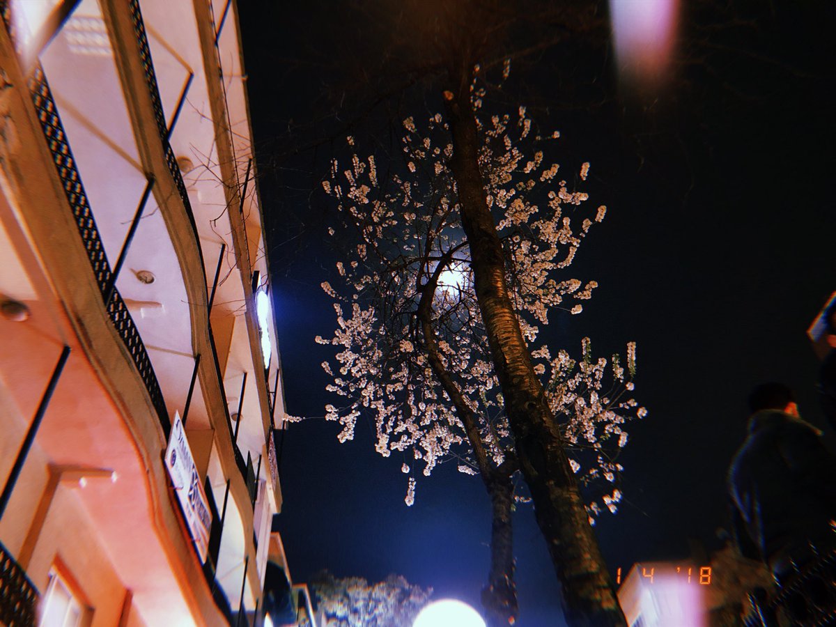 poketmonseuto's tweet photo. @BTS_twt From Turkey with love 🌸💜 https://t.co/2zPE4Q0pk6