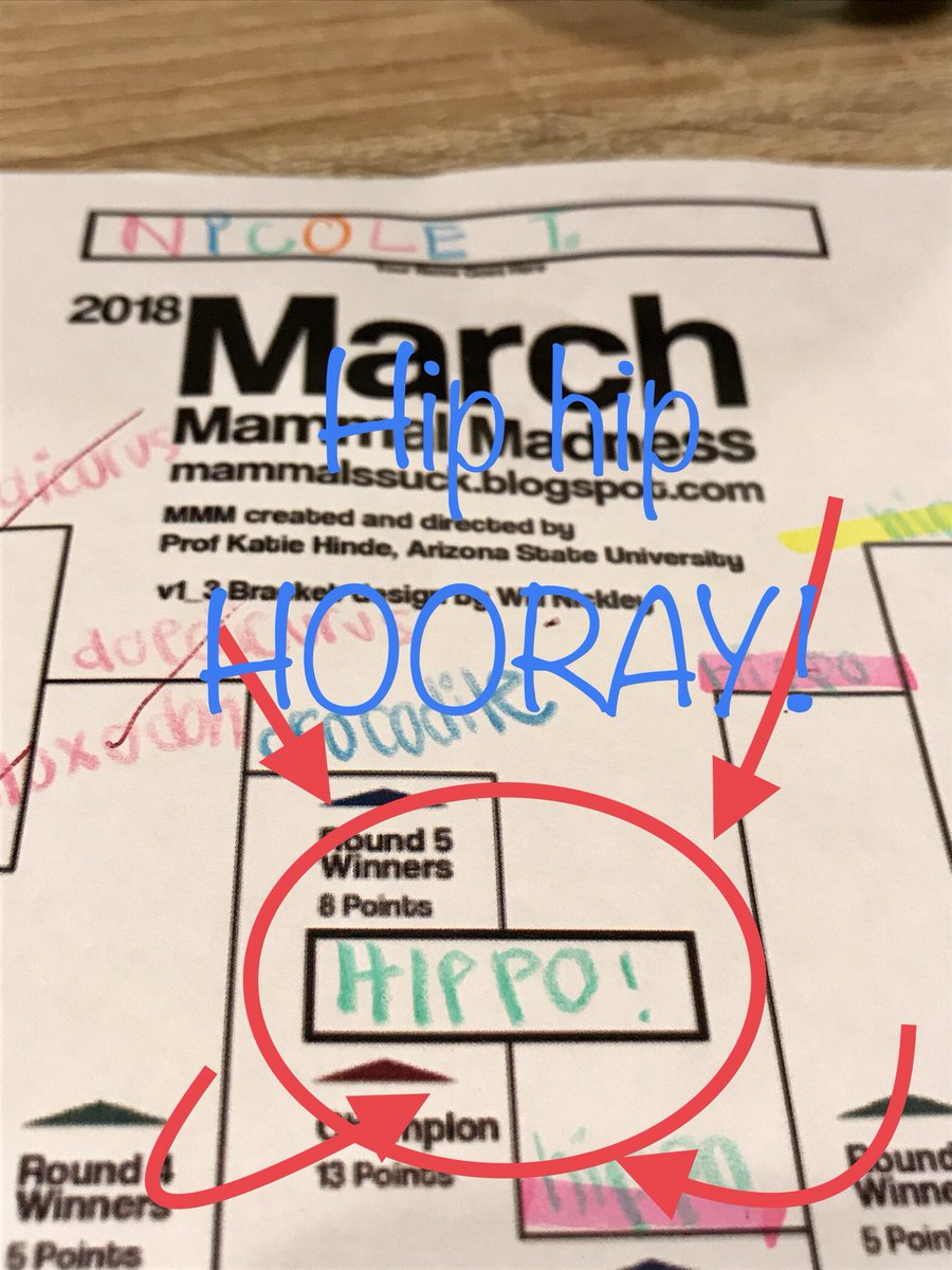 nctay's tweet photo. My coworkers mocked me. Several of them pegged Ambelodon from the start. But my little Pygmy hippo came out on top! #TinyButMighty #2018MMM https://t.co/WZr1Q3XSQi