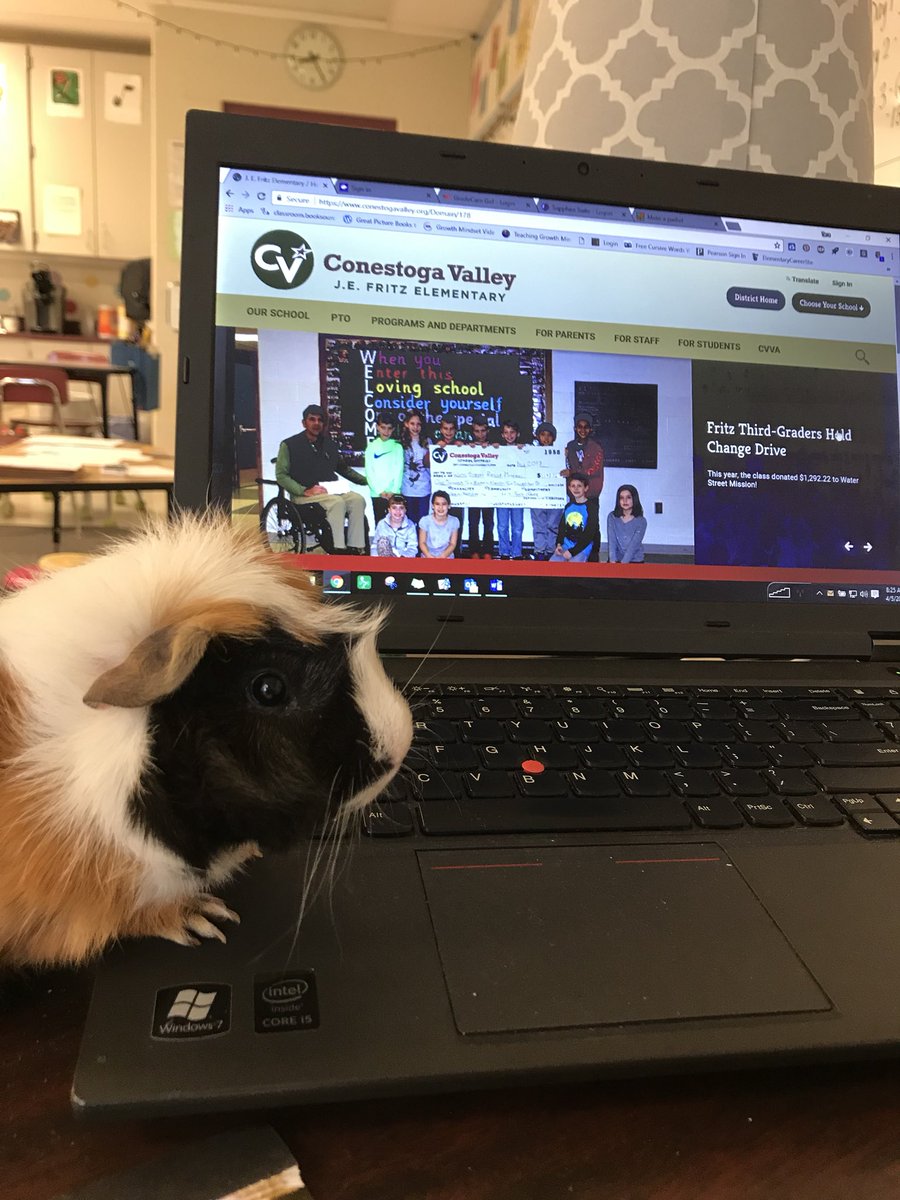 Mrs. Meyer tweet media