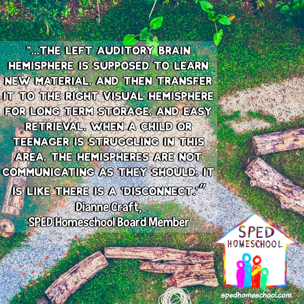 PeggyPloyhar's tweet image. When a child&apos;s brain is not working in the way it was designed, learning can be extremely challenging. spedhomeschool.com/2018/01/audito… #learning #auditoryprocessingdisorder #visualprocessingdisorder #homeschool #spedhomeschool #ihsnet