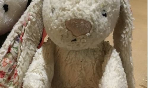 itvlondon's tweet photo. Distraught girl needs your help to find missing toy bunny
@GBR0X
https://t.co/pIsgOirbuT https://t.co/Z4YK9bl1LZ