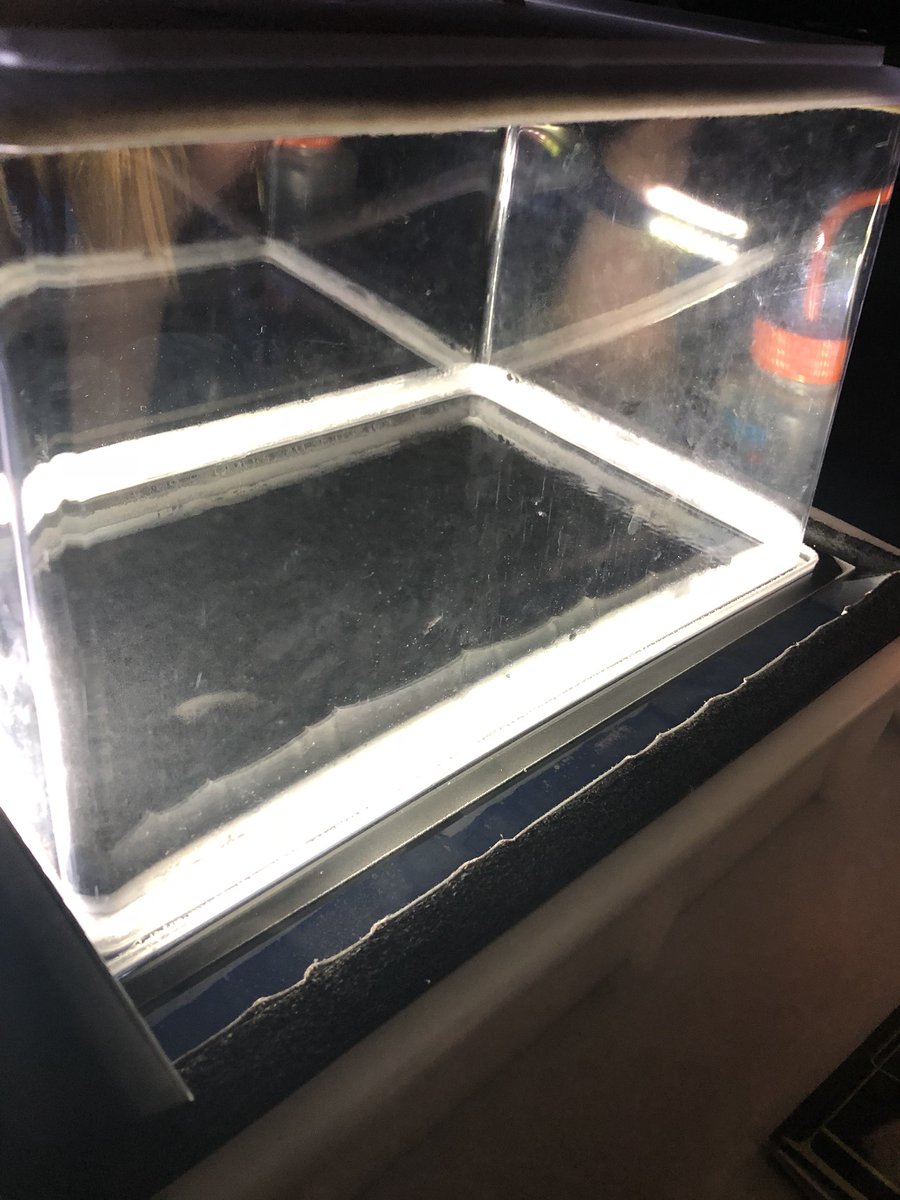 WestminsterFCAT's tweet image. @CERN #scoollab @STEMLearningUK cloud chamber lab time 👏🏻👏🏻