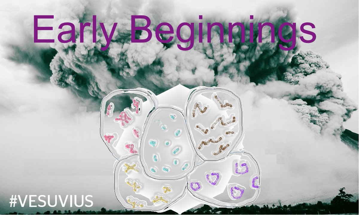 #Vesuvius is not all quiet. Signs of life are present, keep following our next steps. <a href="/ilo/">International Labour Organization</a> <a href="/ioevoice/">IOE</a> <a href="/ABBgroupnews/">ABB</a> <a href="/Barnens/">Anne-Sophie Lois</a> <a href="/a2i_bd/">a2i</a> @AlainDehaze <a href="/GANCostaRica/">GAN Costa Rica</a> <a href="/GANColombia/">GANColombia</a> @ArgentinaGan <a href="/ganmexico/">GANmexico</a> <a href="/GanTanzania/">GAN Tanzania</a> @GANMalawi <a href="/GanFrance/">GANFrance</a>  @GANIndonesiaa <a href="/GANNamibia/">GAN Namibia</a> <a href="/fundacionTef/">Fundación Telefónica</a> <a href="/OECD/">OECD ➡️ Better Policies for Better Lives</a>