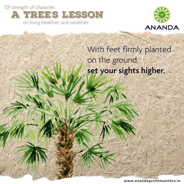 AnandaManthra's tweet photo. Dream the impossible, set out to achieve what others consider difficult. And if at any point of time you feel like the obstacles are bigger than your goal, take inspiration from the humble tree that teaches a simple lesson- Set your sights on a goal that’s unattainable. Go get it https://t.co/kwniwOKmyl