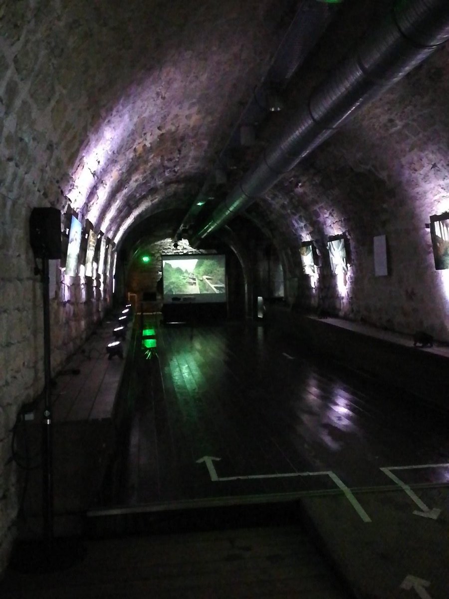 Hauteurs_UGA's tweet photo. Visite de l'exposition Urbex en présence de @sup_recherche avant le concert de ce soir 😉🎶🎷
#infini2018 #jaces2018 https://t.co/keoCEGPxLw