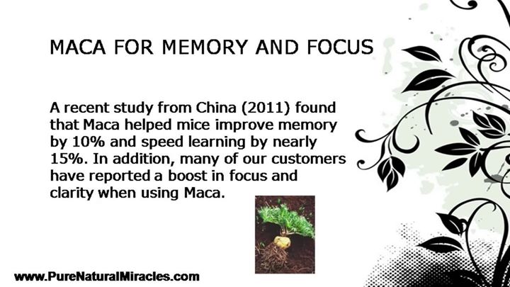 MacaPowderBenef's tweet image. Maca for memory and focus
#Superfoods #MacaPowderBenefits #MacaRoot
Read more: bitly.com/benefitsmaca