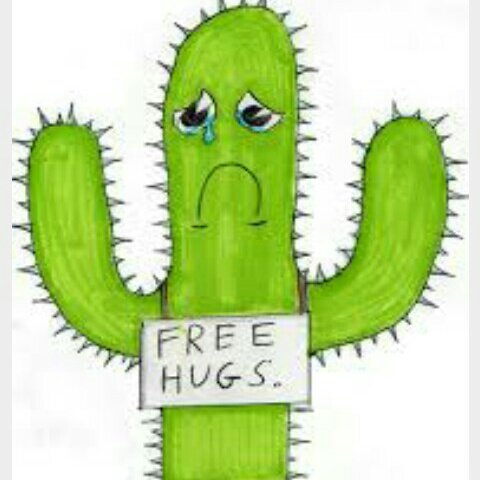 #NewProfilePic #cactuslover  💔🌵