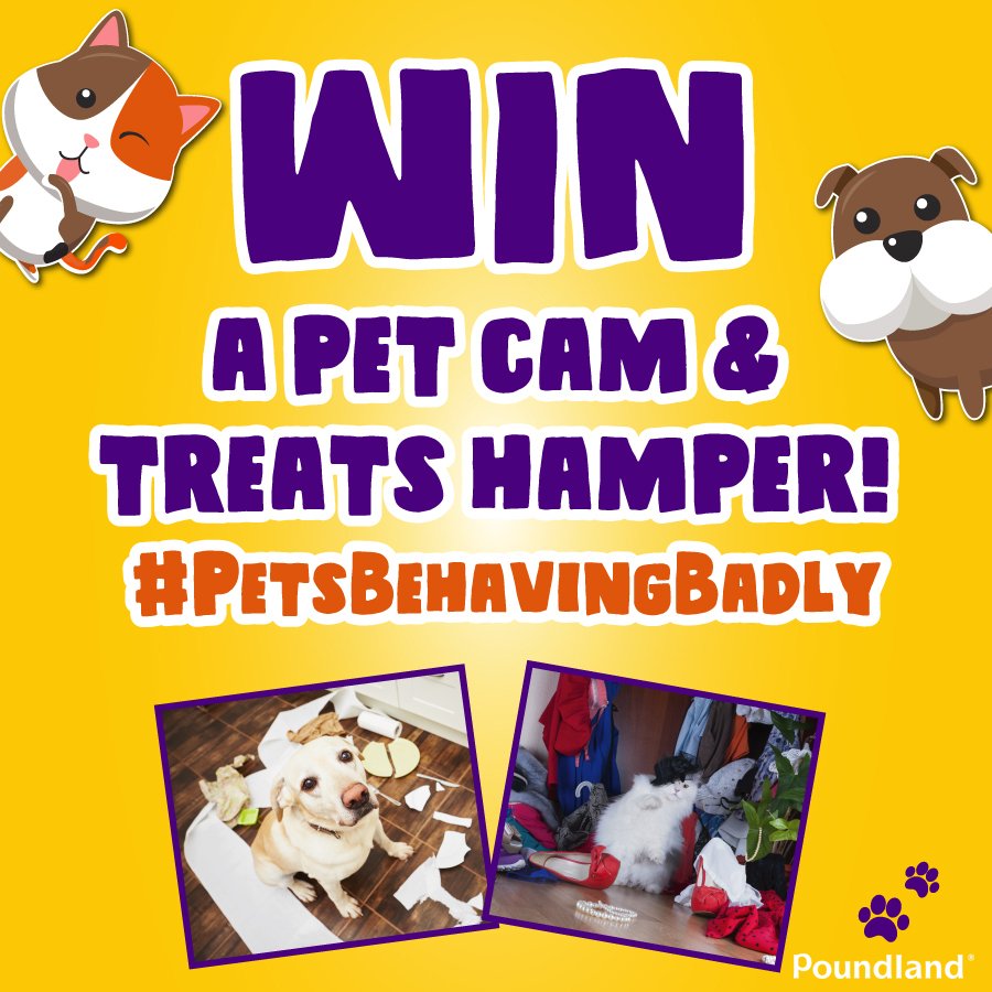 Poundland's tweet photo. WIN a pet camera and treats hamper! Is your pet a diva or are they always creating a mess? Share a video or pic of your pet behaving badly with hashtag #PetsBehavingBadly to enter. Gallery and t&c's: https://t.co/nadC9XARxh https://t.co/Vgez7I9buW