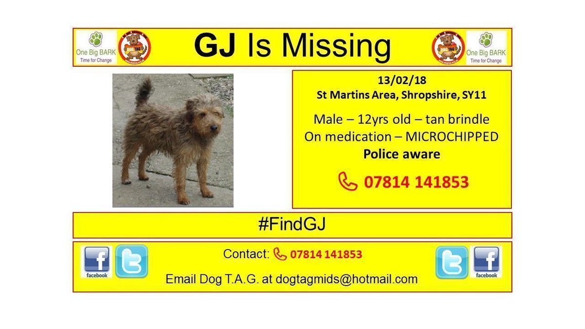 DogTAGMids's tweet photo. #FindGJ - Missing/Stolen from St Martins Area, Shropshire, SY11 Have you seen a dog that looks like GJ? MICROCHIPPED #scanme 📞 07814 141853 https://t.co/5nT1iat35G