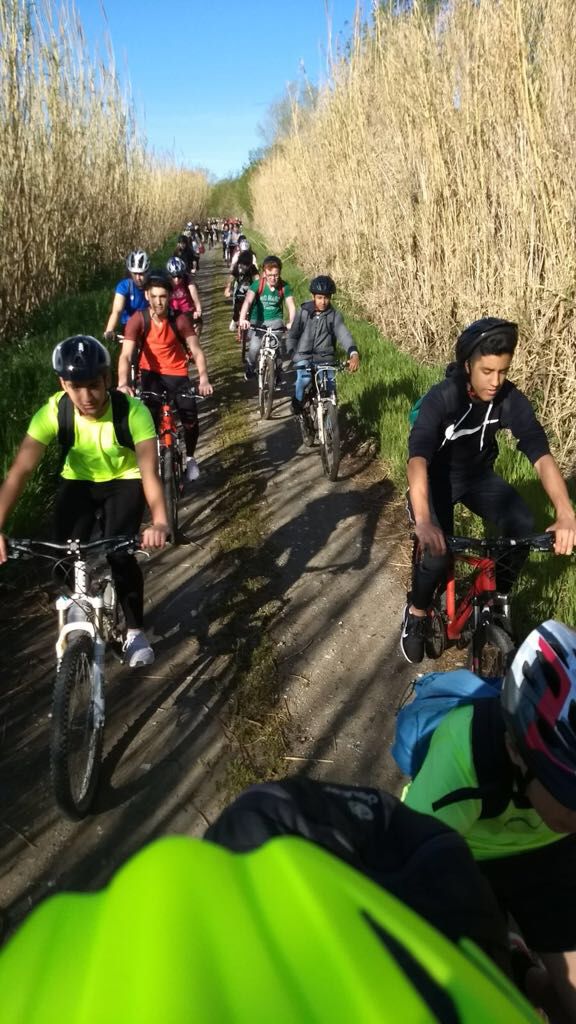 EscolapiesFIG's tweet photo. Els nois i noies de @EF3erESO han visitat avui l’Ecomuseu-Farinera de @Castello_Emp. Hi han anat fent un passeig amb bicicleta #esoESC #sortida #enMoviment https://t.co/SQRB3XGqRT