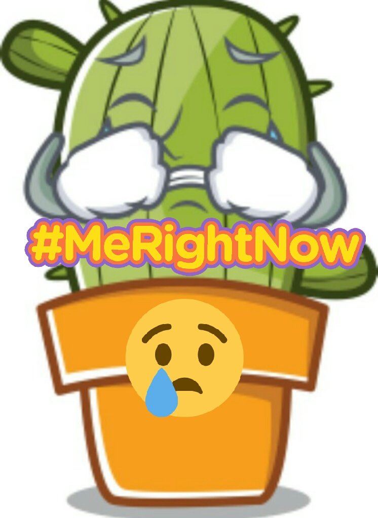 #merightnow . 💔🌵😞