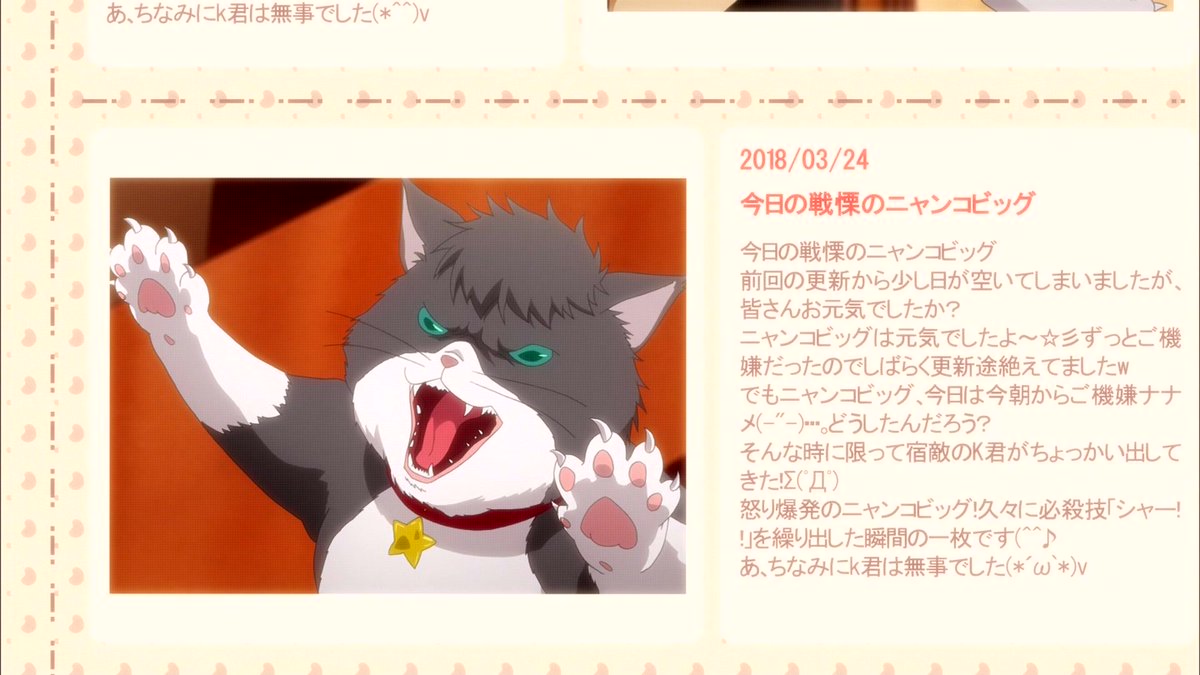 트위터의 うぃじうぃっぐ 님 戦慄のニャンコビック毎回ネタが同じじゃねーか Tadakoi