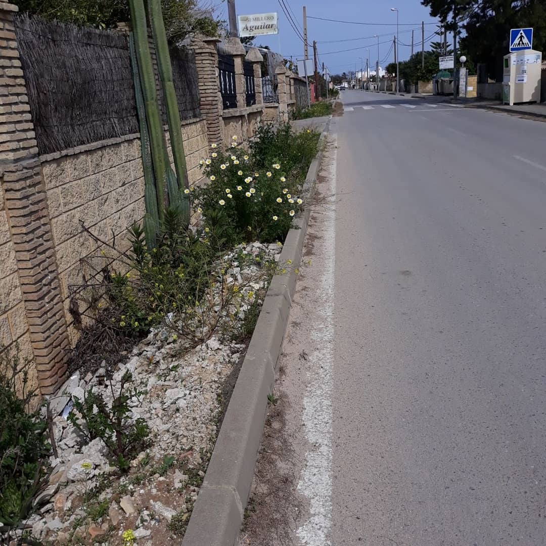 psoeconil's tweet photo. Ayer visitamos Barrionuevo, en esa zona de Conil se va a invertir dinero a través del Programa INVIERTE de la Dipu de Cádiz, gobernada @Irene_Garcia_M Esperamos que las obra sean rápidas, y solucionen los problemas de los vecin@s, a la hora de desplazarse a pie por su zona. https://t.co/p9rJmPZcCi