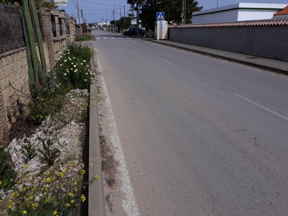 psoeconil's tweet photo. Ayer visitamos Barrionuevo, en esa zona de Conil se va a invertir dinero a través del Programa INVIERTE de la Dipu de Cádiz, gobernada @Irene_Garcia_M Esperamos que las obra sean rápidas, y solucionen los problemas de los vecin@s, a la hora de desplazarse a pie por su zona. https://t.co/p9rJmPZcCi
