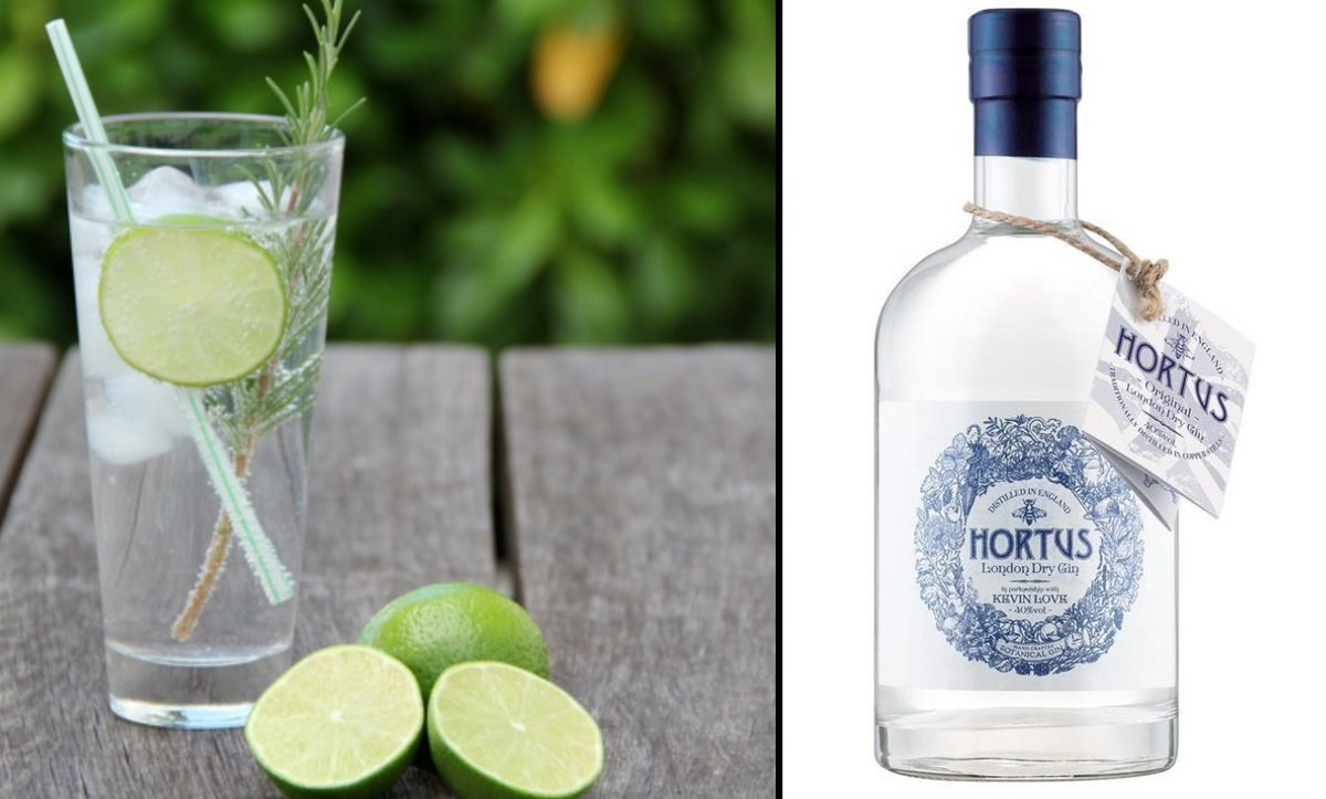 ladbible's tweet photo. Lidl gin just beat famous brands in a blind taste test and it's half the price! https://t.co/bRgcHPuVzx https://t.co/bU2DHjKpgt