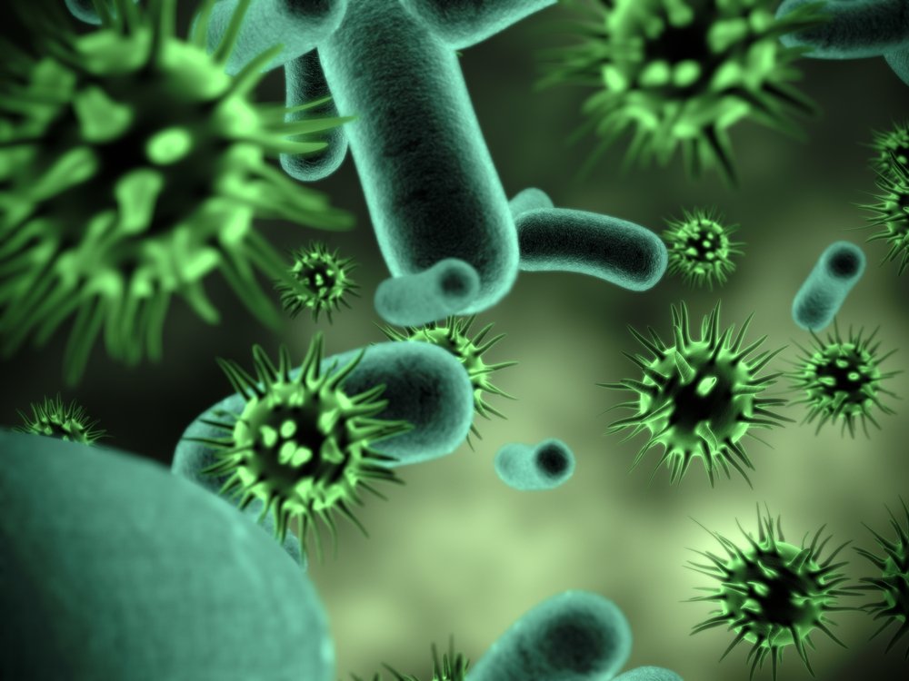 hcprosafety's tweet photo. CDC sounded the alarm this week after it found that “nightmare bacteria” capable of resisting most antibiotics have popped up across the country. But CDC officials also believe “an aggressive approach can snuff them out." https://t.co/0HvunGxTGJ https://t.co/KTCKd2d1Au