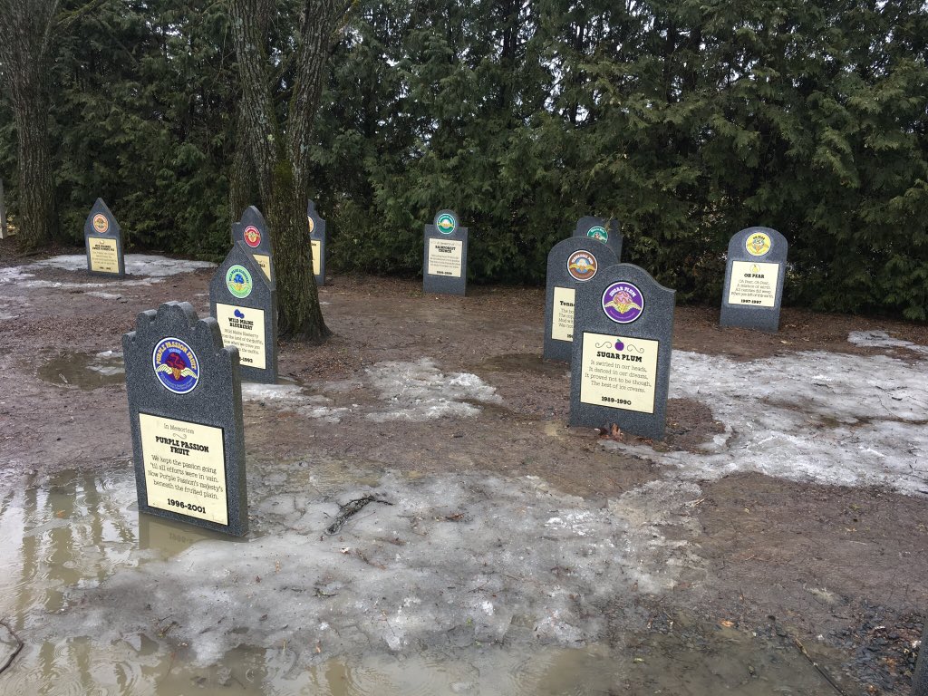ImagineerSTEAM's tweet photo. On a rainy day in Vermont you travel to the @benandjerrys factory to learn about how their ice cream is made! Loved their graveyard of flavors that are no longer made! #SpringBreakSTEM #oneccps #GHESproud #stem https://t.co/BZEyxxvBYB