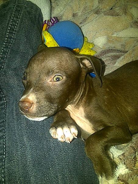 Djextmo's tweet image. Cacique😎