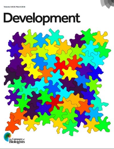 download Historic Textiles, Papers,