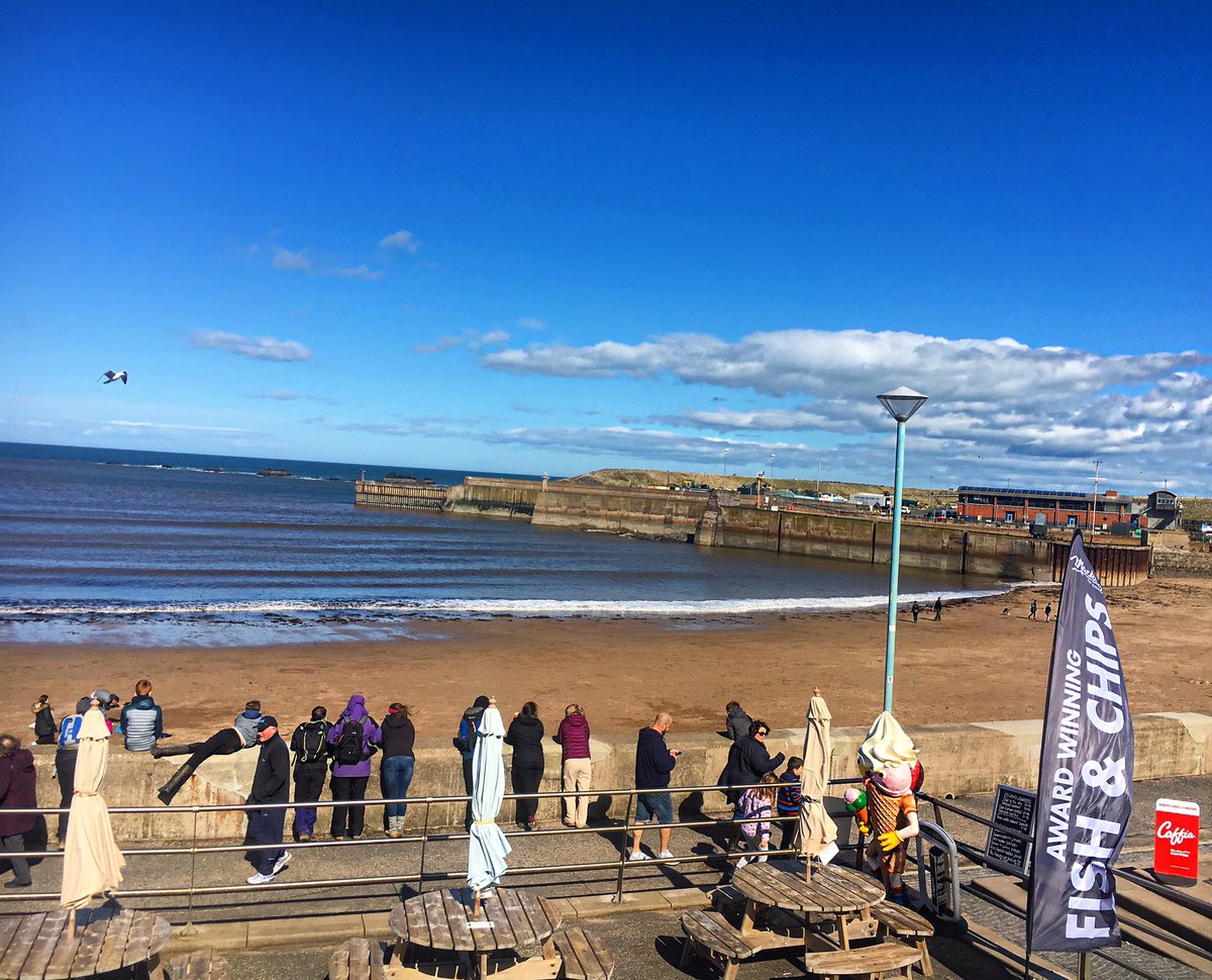 MackaysEye's tweet photo. No better place to enjoy your chips and ice-cream.. this view just never gets old! Come see us and enjoy this view from inside or out.. #mackaysofeyemouth #sunshine https://t.co/1duD7xUNcN