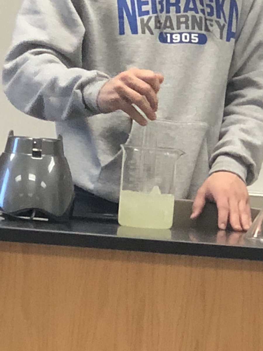 jhlberger's tweet photo. Mmmmm onion DNA smoothie...🤢 @UNKBiol106CW #WillicottWeek12S18 https://t.co/RA5MVpksSb