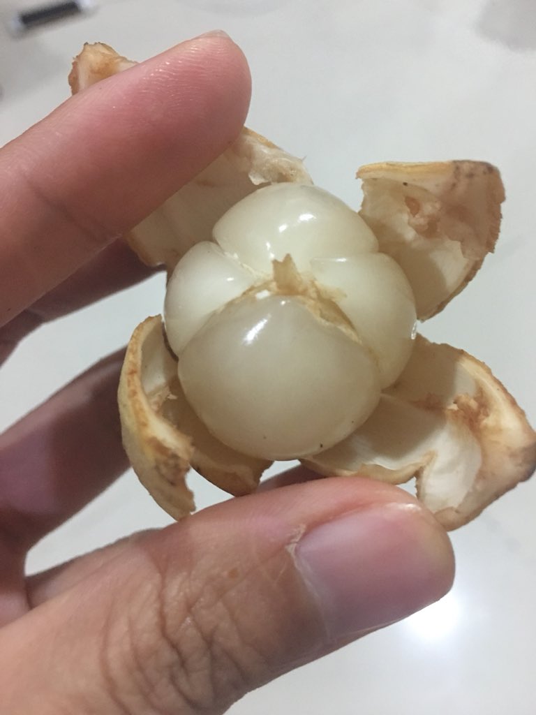 SiamFreshMarket's tweet photo. In Thailand we call โLong Kongโ, its taste like Lychee and Long Kong. You just need to peel it and enjoy ... contact info@siamfreshmarket.com or +66-62-6365649 both WhatsApp and Line #ThaiFruitExport #ExoticFruitExport #ExoticProduce https://t.co/wmV59z3ZOR