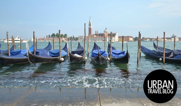 The Editor tweet media