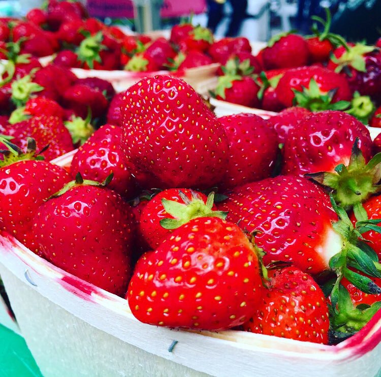 Judson Allen tweet media