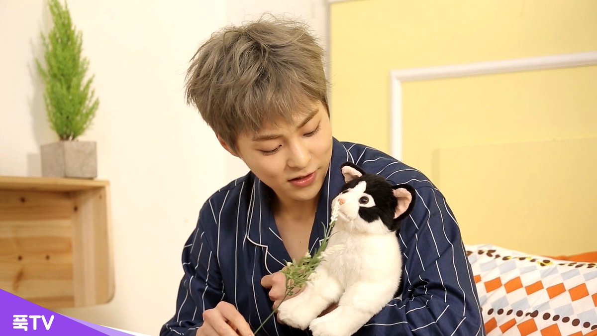 wavve_official's tweet photo. [#이불밖은위험해 미방분 미리보기] 
아.. 집돌이들 보고있으면 내 심장이 위험해..💗

#엑소 #시우민 #워너원 #강다니엘 #김민석
본방송 후 푹TV에서 단독공개되는 미방분 에피소드는 여기서 ▶https://t.co/5DRG7oXtQn https://t.co/eOTb4Pf0qV