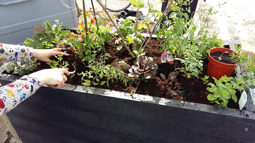 BeMoreSquirrel's tweet photo. Do you want to help make #Splott & #Adamsdown greener & more colourful places to live? Join our #CommunityPlanter group on facebook to get involved this #Spring... https://t.co/51UJM3V1sG https://t.co/a0RI9ye68E