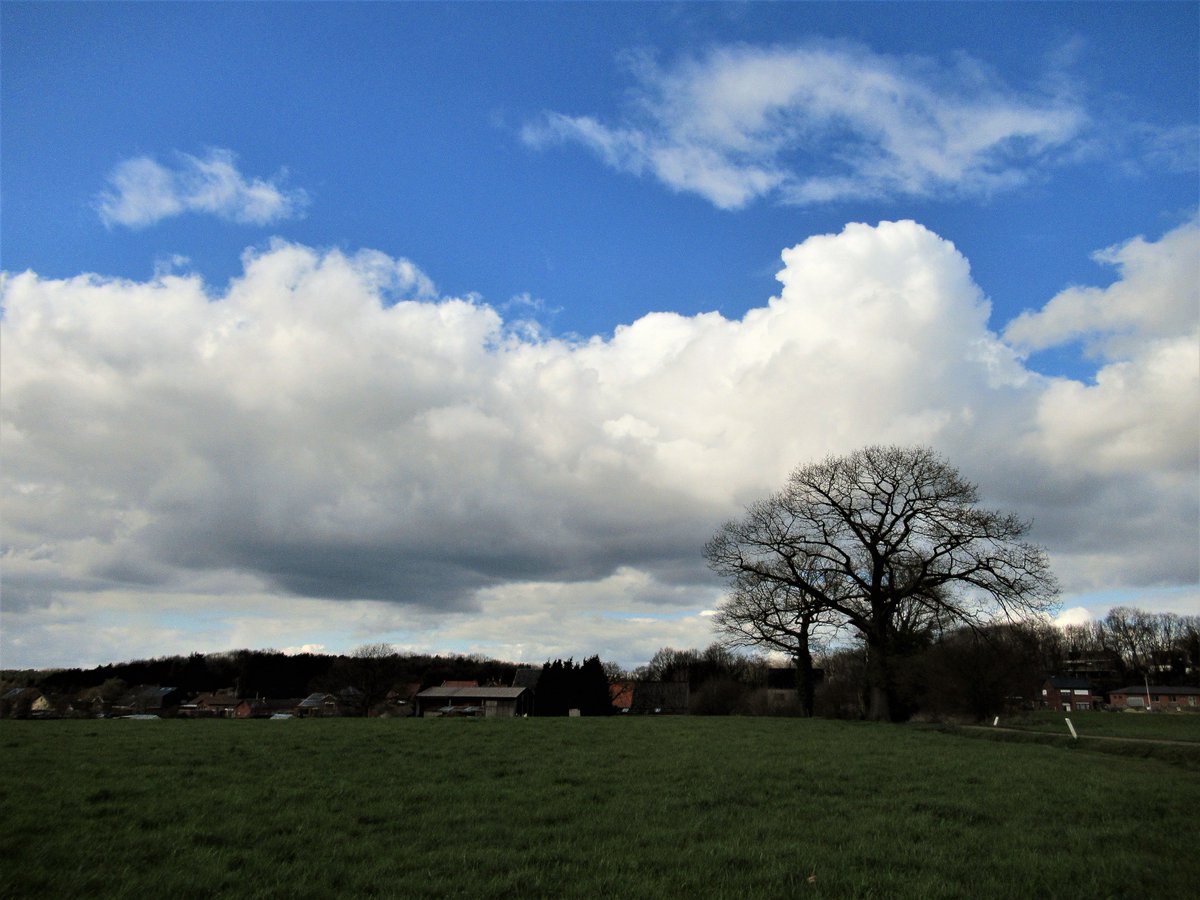 GysemansGoedele's tweet photo. #vrtweer #Schaffen @MeteovistaBe @HetweerinBelgie @mooielucht @mooieluchten @EarthandClouds @EarthandClouds2 @rob_televisie #eindelijkzon #koudewind https://t.co/L3ynT6RTYl