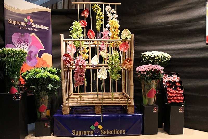 SupremeSel's tweet photo. Our colleagues at Hilverda De Boer Kristiansand did a great job, making a @SupremeSel presentation in their cash&amp;carry. Do you also want a toolkit to make your own corner? Let us know! https://t.co/7zVvHZBb1r