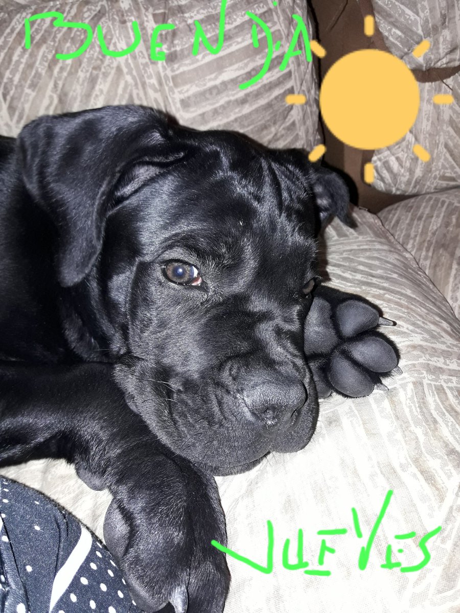 oftoshi's tweet image. 