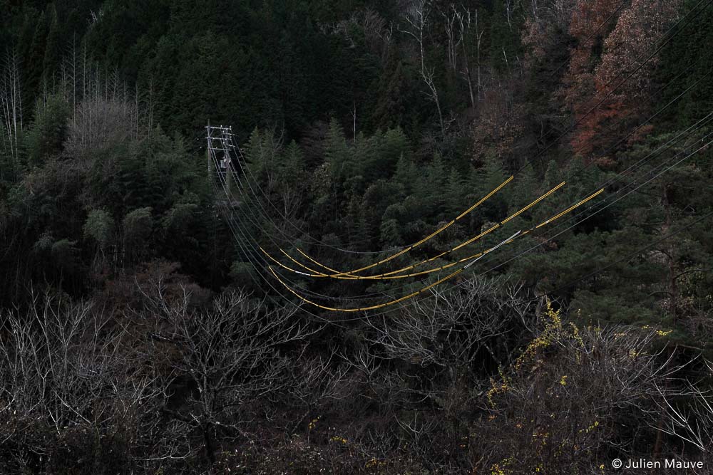 "These pictures come from the Island of Dragonflies (Akitsu Shima), the name of which echoes nature's powerful place in the Japanese imagination." <a href="/julienmauve/">Julien Mauve</a> bit.ly/2EjDcTV