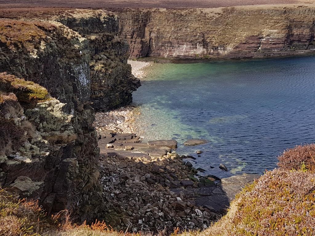 HighlandL4ss's tweet photo. The #Gloup, #BroughofDeerness #MullHead
Weather started nice but windy. Had planned to go to #CovenantersMemorial but weather took turn for the worst.
Who's got my body, as this one actually jogged a bit.
Cracking walk and also spoke to @NavajoBirdsong
equines who spoke to me. https://t.co/R8dsd95Z5t