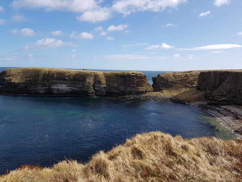 HighlandL4ss's tweet photo. The #Gloup, #BroughofDeerness #MullHead
Weather started nice but windy. Had planned to go to #CovenantersMemorial but weather took turn for the worst.
Who's got my body, as this one actually jogged a bit.
Cracking walk and also spoke to @NavajoBirdsong
equines who spoke to me. https://t.co/R8dsd95Z5t