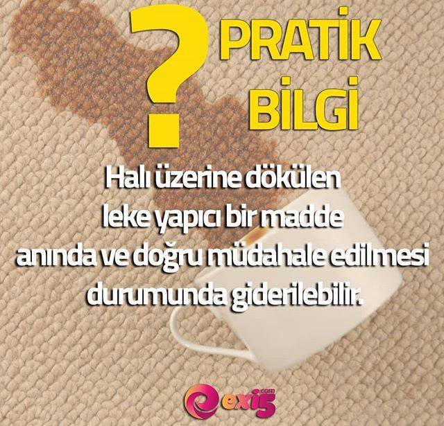 Exi5com's tweet photo. Pratik bilgilerde bugün... #halı #haliortusu  #pratikbilgi #yeni #bilgi #evtekstili #ev #evdekorasyon #kilim #gencodası #salonhalısı #modernhalı https://t.co/zBtCPP2FZP