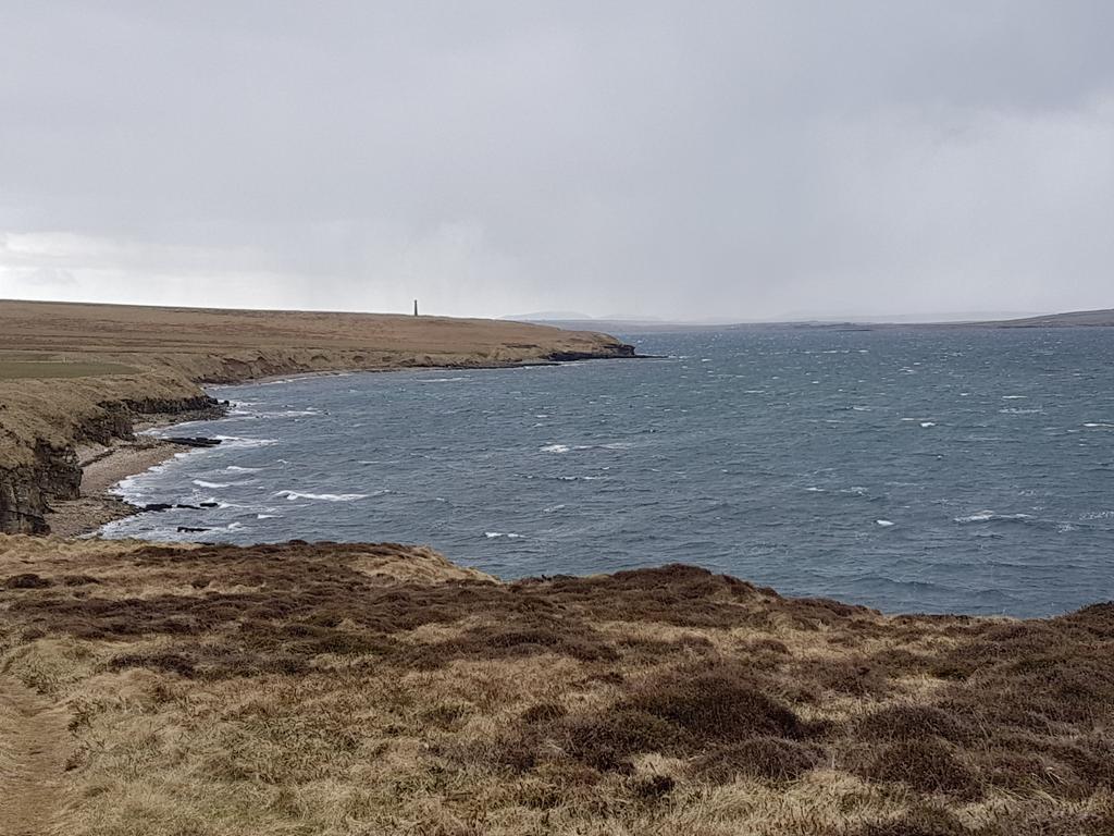 HighlandL4ss's tweet photo. The #Gloup, #BroughofDeerness #MullHead
Weather started nice but windy. Had planned to go to #CovenantersMemorial but weather took turn for the worst.
Who's got my body, as this one actually jogged a bit.
Cracking walk and also spoke to @NavajoBirdsong
equines who spoke to me. https://t.co/R8dsd95Z5t