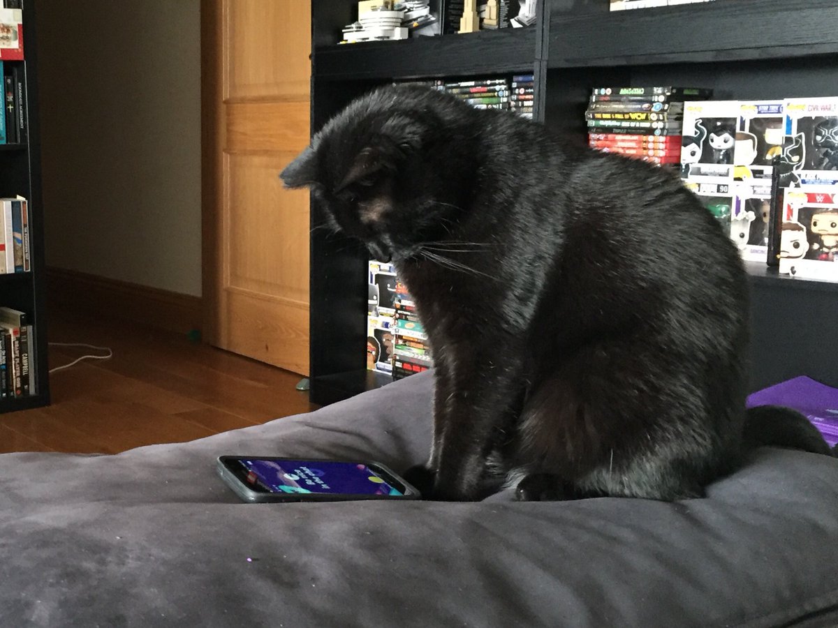 LokiandFinn's tweet photo. @hqtriviauk Loki was very excited for @ScottRogowsky for trivia. Enjoy your holidays @sharoncarpenter https://t.co/XFytvaJQJm