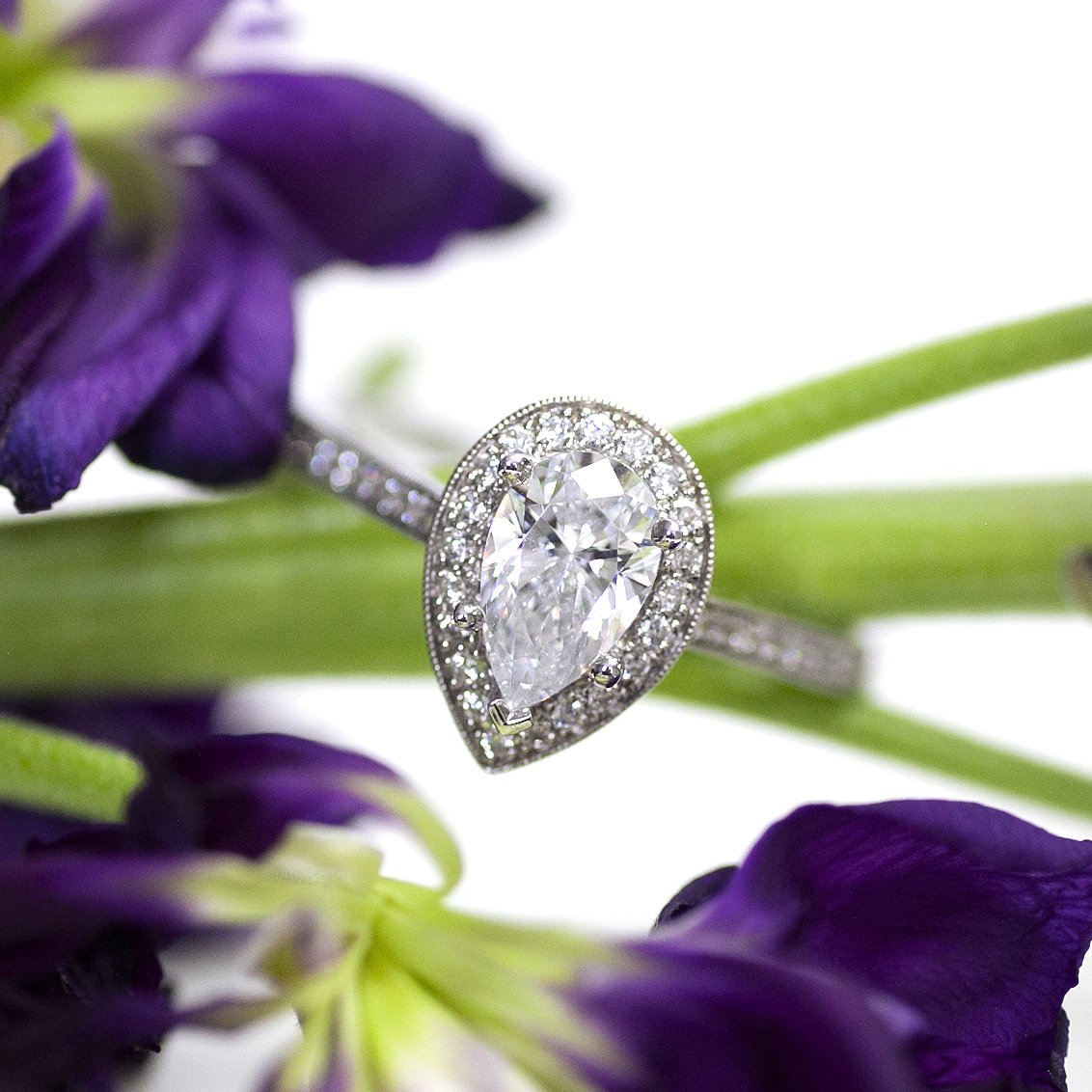 CoastDiamond's tweet photo. Leave a little (or a LOT) of sparkle wherever you go.β¨#showyourcoast
.
.
.
.
.
#coastdiamond #proposal #heirloom #engagementring #weddinginspo #diamonds #jewelryaddicts #jewelrylover #bridalfashion #bridalinspo #bridetobe #tietheknot #jootd #love #sparkle #weddingplanning https://t.co/ve6KzHoIv0